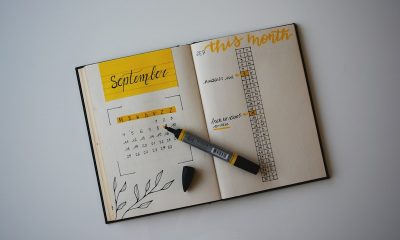 Afinite Şeması Nasıl Kullanılır?