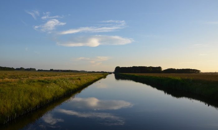 Denizci ne iş yapar? Denizciler için girişimcilik fırsatları