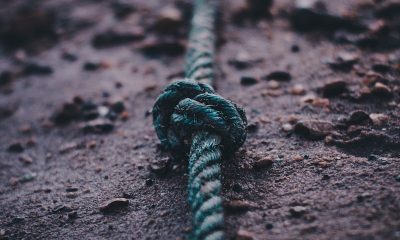 İpçi ne iş yapar? İpçiler için girişimcilik fırsatları