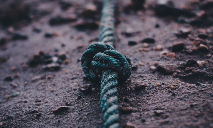 İpçi ne iş yapar? İpçiler için girişimcilik fırsatları