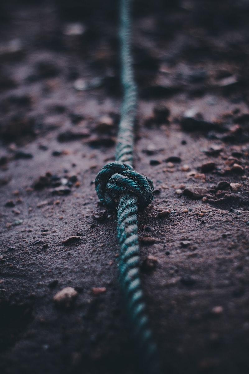 İpçi ne iş yapar? İpçiler için girişimcilik fırsatları İpçi ne iş yapar? İpçiler için girişimcilik fırsatları