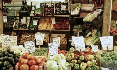 Zabıta ne iş yapar? Zabıtalar için girişimcilik fırsatları