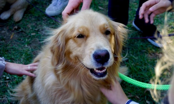 Stratejik Yol Haritası Nedir ?