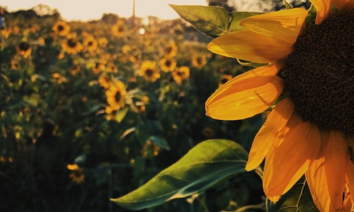 Taşçı ne iş yapar? Taşçılar için girişimcilik fırsatları
