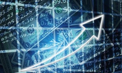 Ağ Teorisi Nedir? Girişimciler Nasıl Kullanabilir