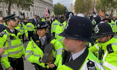 Analitik Metot Geliştirme Uzmanı Nedir? Nasıl Olunur?