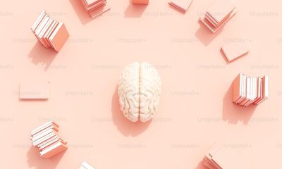 Beyin Fırtınası Tekniği Nedir? Nasıl Yapılır?