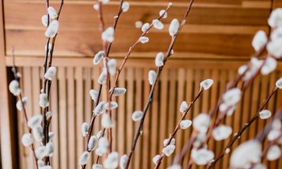 Bulanık Mantık Nedir?