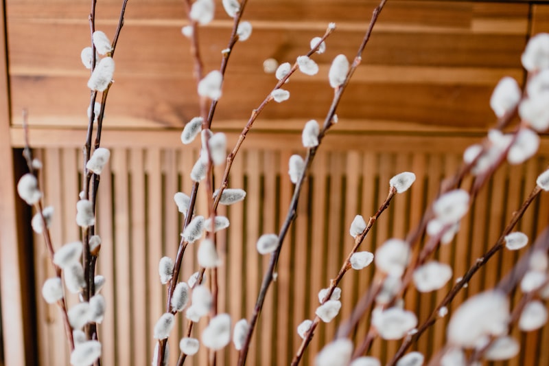 Bulanık Mantık Nedir?