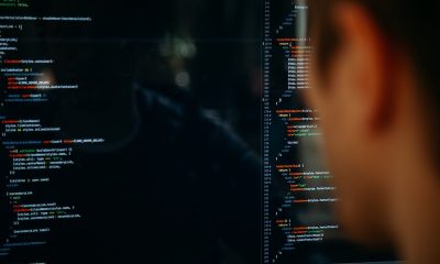 Bütünsel Gelişim Nedir?