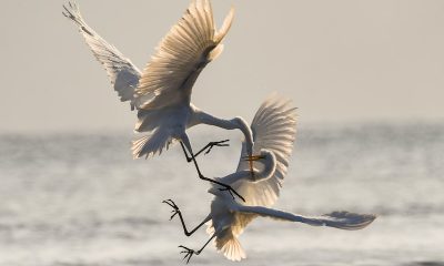 Çatışma Yönetimi Eğitimi