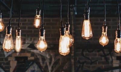 Girişimciler İçin Yeni İş Fikirleri Nelerdir?