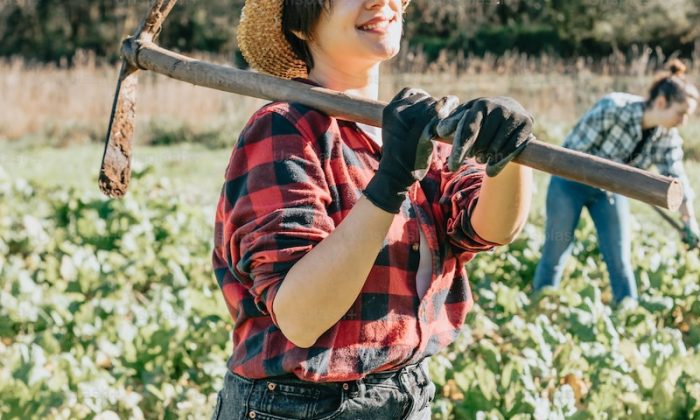 İşgücü ve Temel Kavramları Nelerdir?