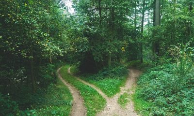 İyi Kararlar Nasıl Alınır?