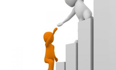 Kano Modeli Nedir? Girişimciler Nasıl Kullanabilir