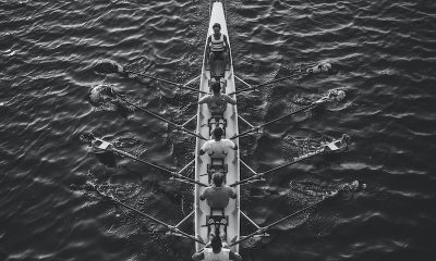 Dümenci ne iş yapar? Dümenciler için girişimcilik fırsatları