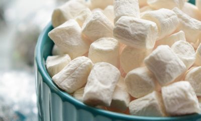 Marshmallow Testi Nedir?