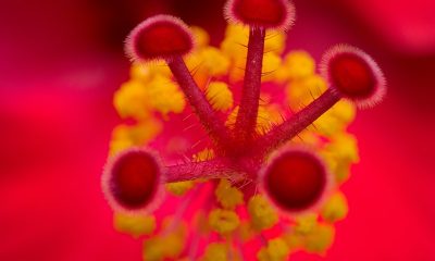 Marvelous Designer Eğitimi