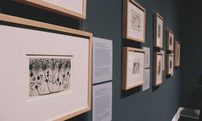 Nöropazarlama Eğitimi