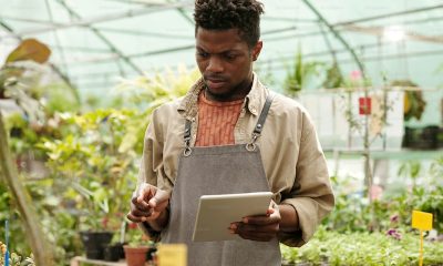 Pazarlama 4.0: Nesnelerin İnterneti Nedir?