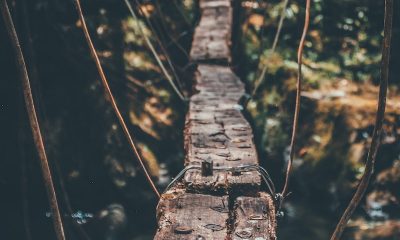 Risk Tabanlı Düşünme Teknikleri Kavramları ve Anlamları Nelerdir?