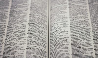 Sıfırdan İngilizce Kursu (Tüm Seviyeler)