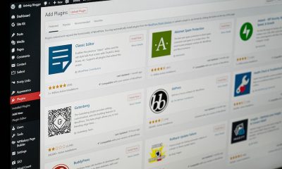 WordPress Eğitimi
