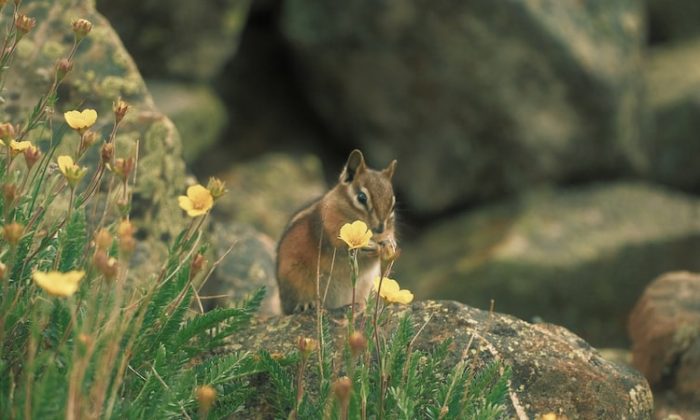 Yaratıcı Düşünme ve SCAMPER Tekniği Nedir?