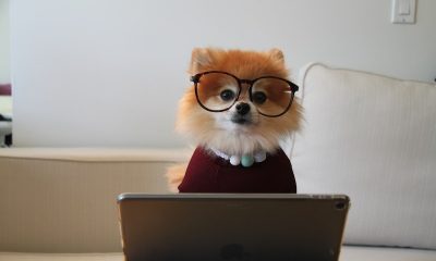 Yetkinlik Bazlı Mülakat Teknikleri Eğitimi