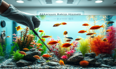 Akvaryum Bakım Hizmeti: Girişimcilikte Suyun Ötesi
